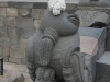 dsc02121