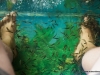 dsc02349