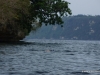 dsc02683