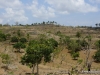 dsc02701