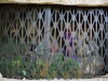 1-dsc04556