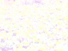 19-dsc04449