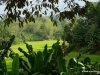 38-dsc04633